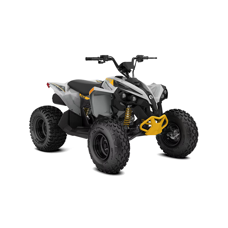 Vehículo motorizado|CAN-AM|RENEGADE MINI XXC 110 / 2024