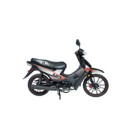 Motos|UM motorcycles|FLASH 110 XR / 2023