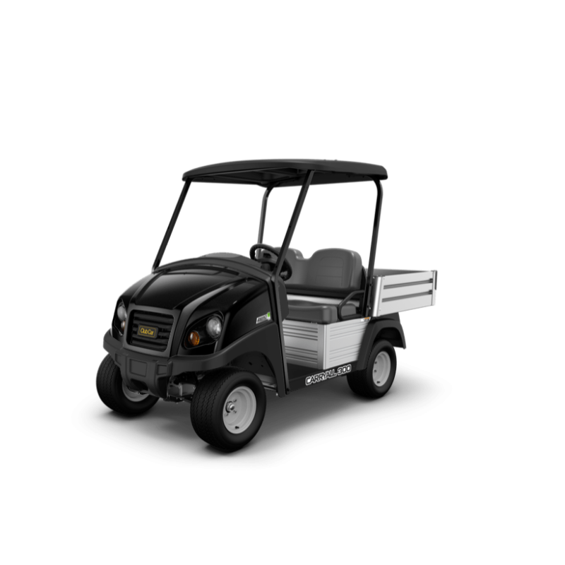 CARRYALL 300 GASOLINA 2P